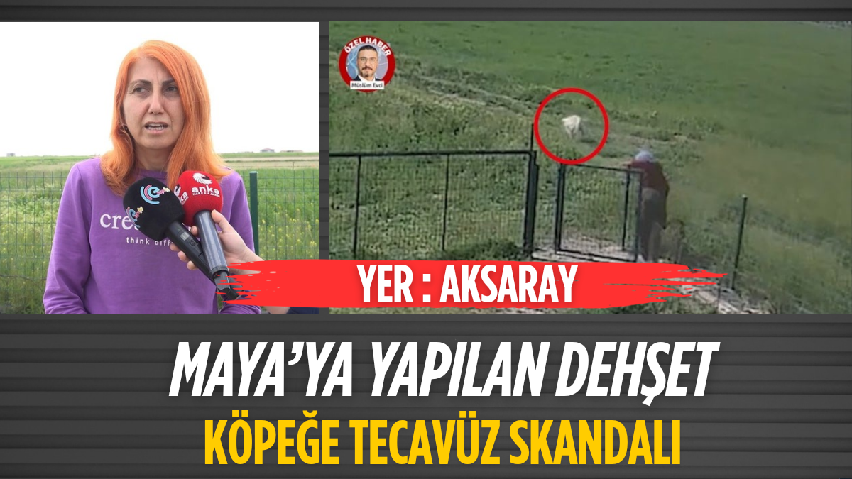 Erdoğan ve Meloni DolmabahçA_20250805_125552_0000