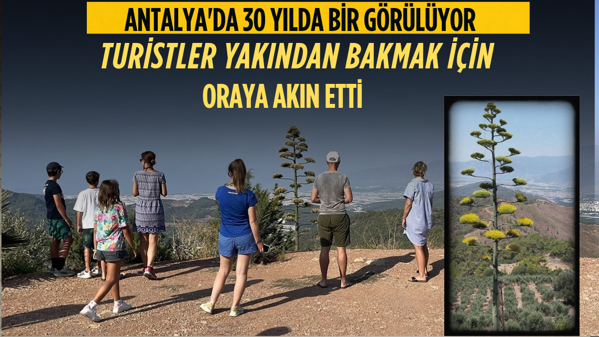 Erdoğan ve Meloni DolmabahçA_20250806_000215_0000