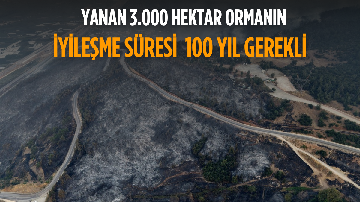 Erdoğan ve Meloni Dolmabahçe’de Buluştu_20250803_121812_0000