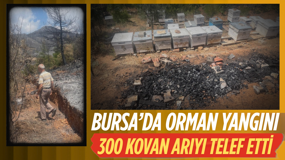 tarafsız_20250801_110341_0000