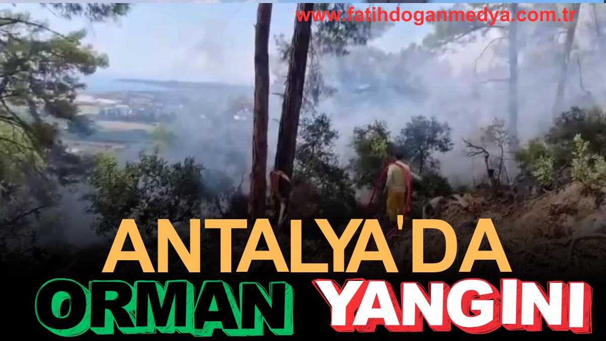 Erdoğa ve Meloni DolmabahçA_20250907_121734_0000