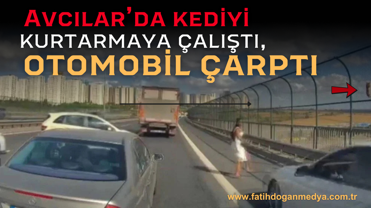 Erdoğa ve Meloni DolmabahçA_20250914_143325_0000