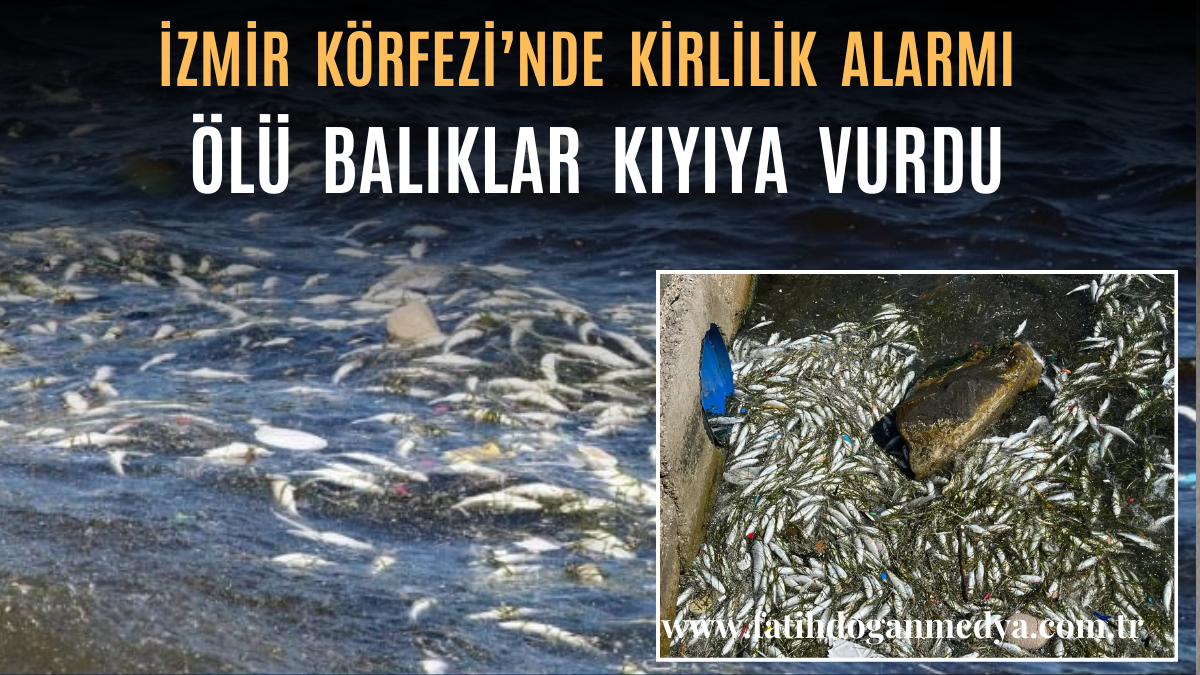Erdoğa ve Meloni DolmabahçA_20250923_115135_0000