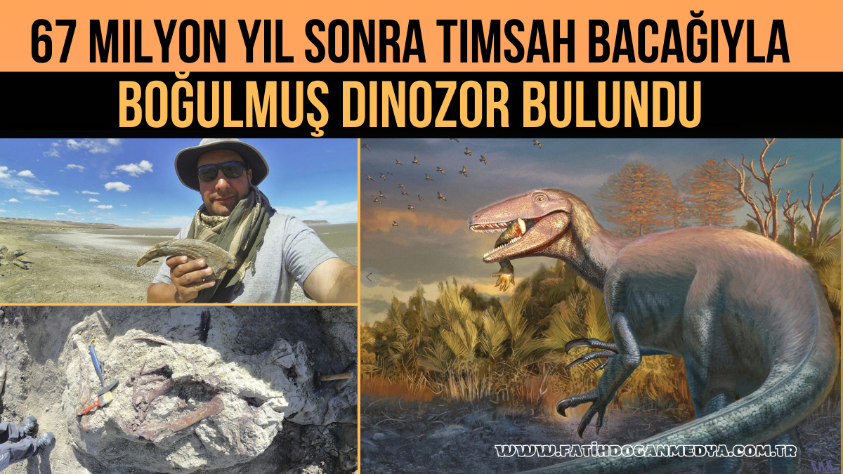 67 Milyon Yıl Sonra Timsah Bacağıyla Boğulmuş Dinozor Bulundu
