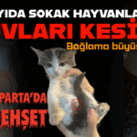 Başlıksız (17)