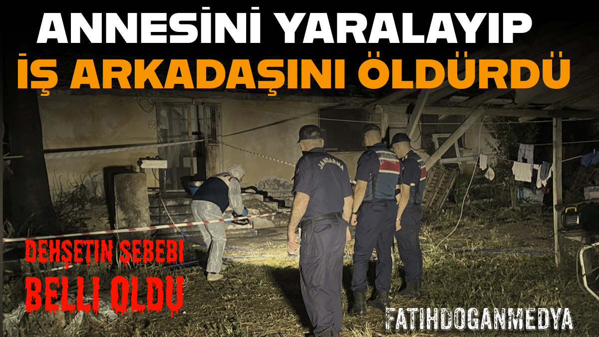 Başlıksız (17)