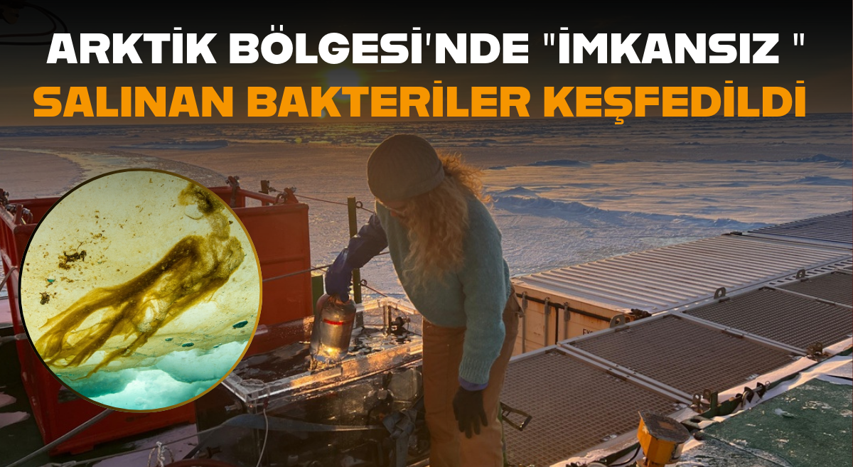 Başlıksız (1)_edit_13199298582880
