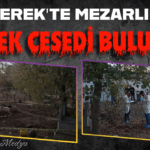 Başlıksız (1)_edit_28272414720163