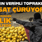 Başlıksız