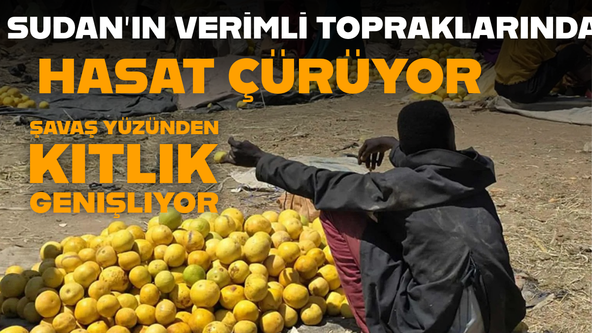 Başlıksız