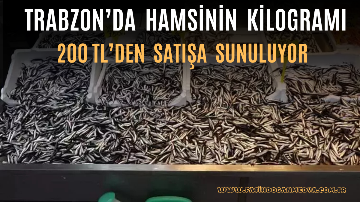 Erdoğa ve Meloni DolmabahçA_20251005_140116_0000