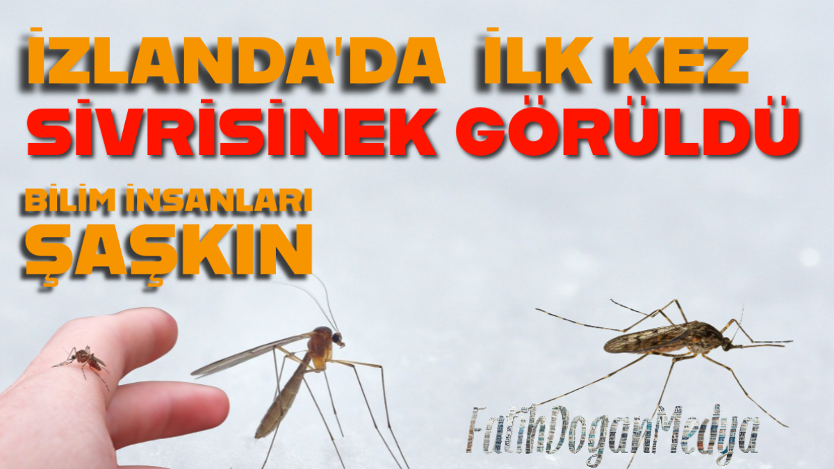 FUTBOLCULAR RESTORANDA REHİN KALDI_20251021_232436_0000
