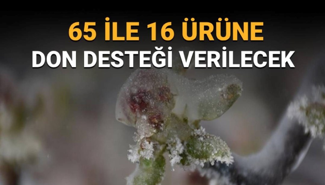 Tarım Bakanlığından açıklama: Zirai don desteği ne zaman, kimlere yatacak?