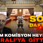 Adsız tasarım_20251124_210753_0000