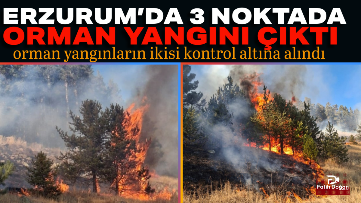 Adsız tasarım_20251124_233232_0000