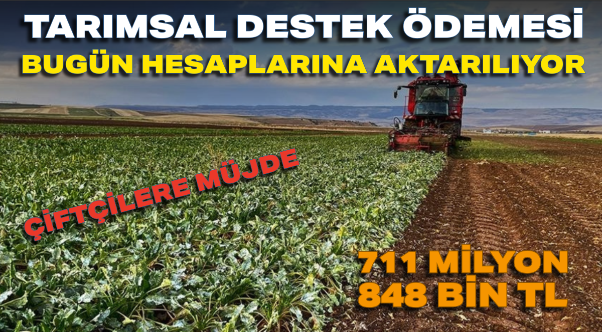 Başlıksız (1)_edit_16399083480308