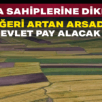 Başlıksız (1)_edit_8187460394583