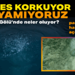 Başlıksız (2)_edit_22799324540790