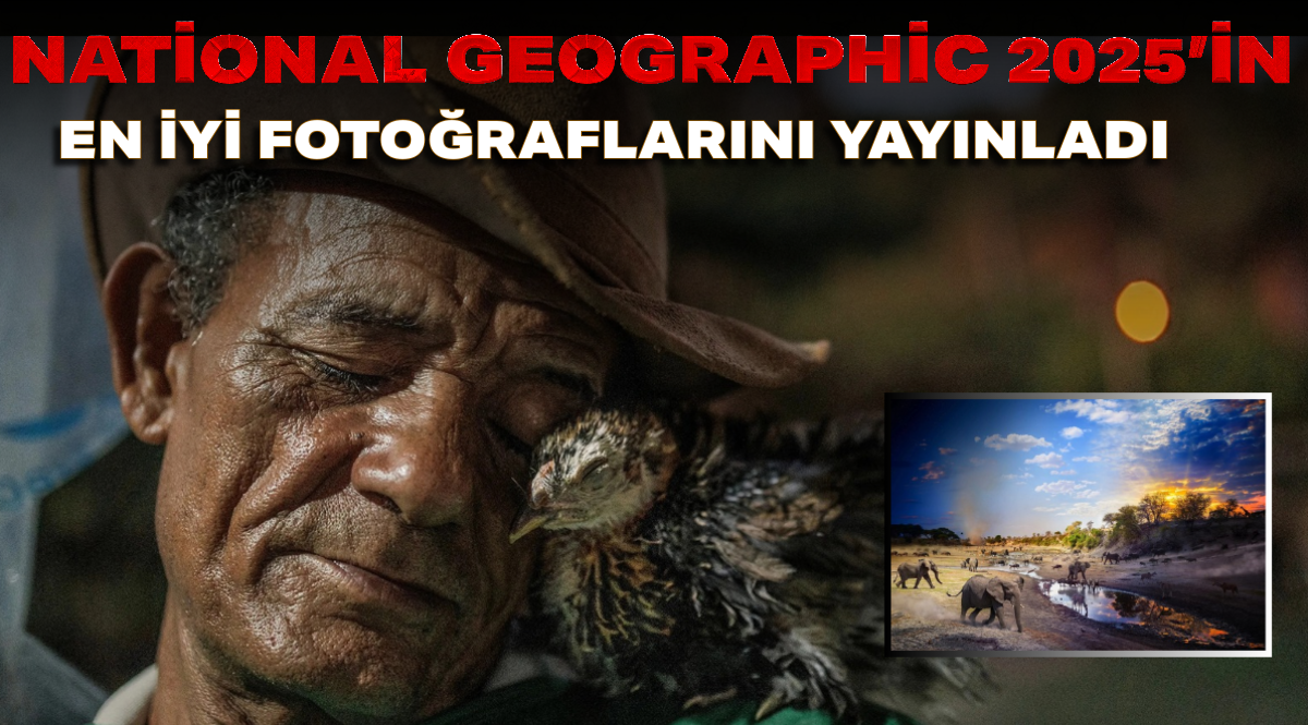 Başlıksız (2)_edit_52520075327401