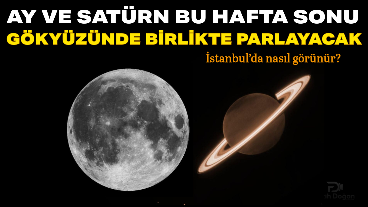 Başlıksız