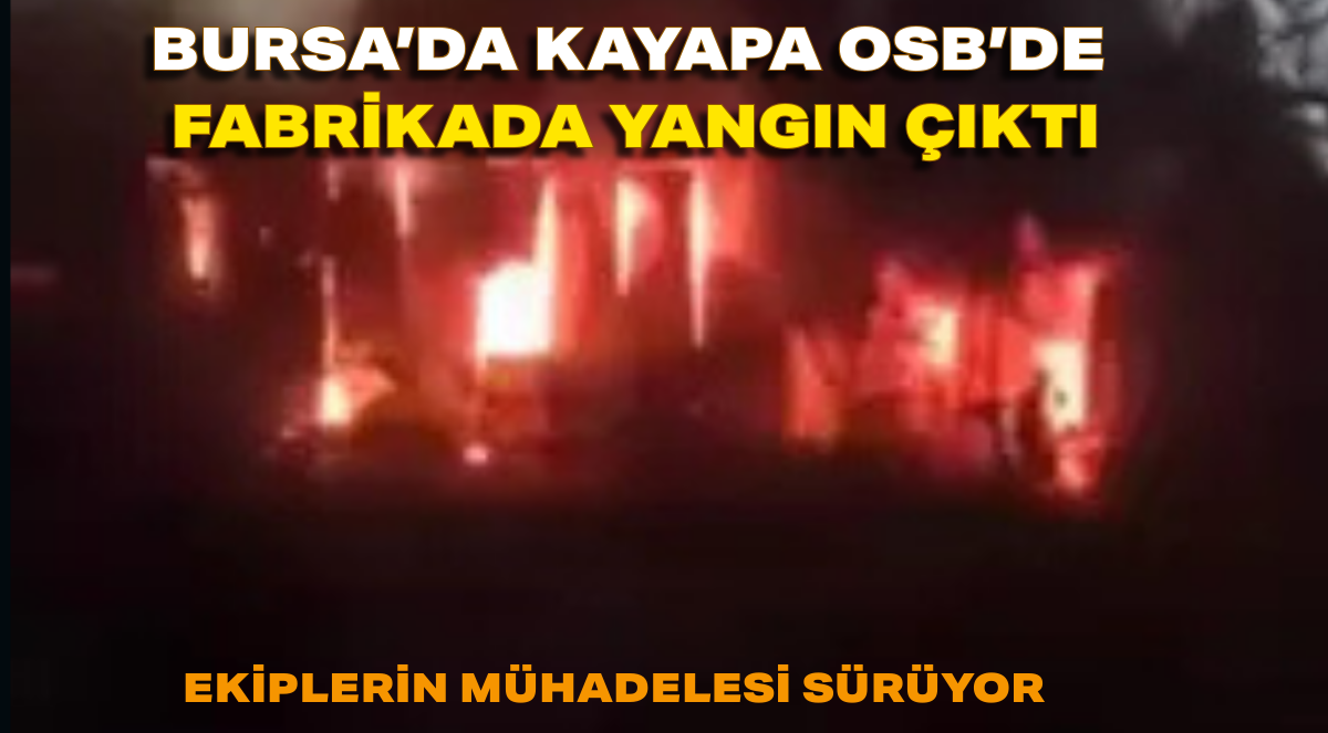 Başlıksız (3)_edit_60392736813700