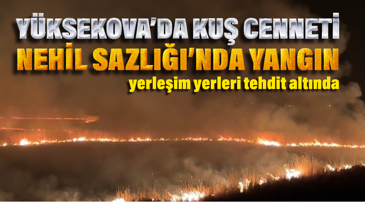 Başlıksız (4)