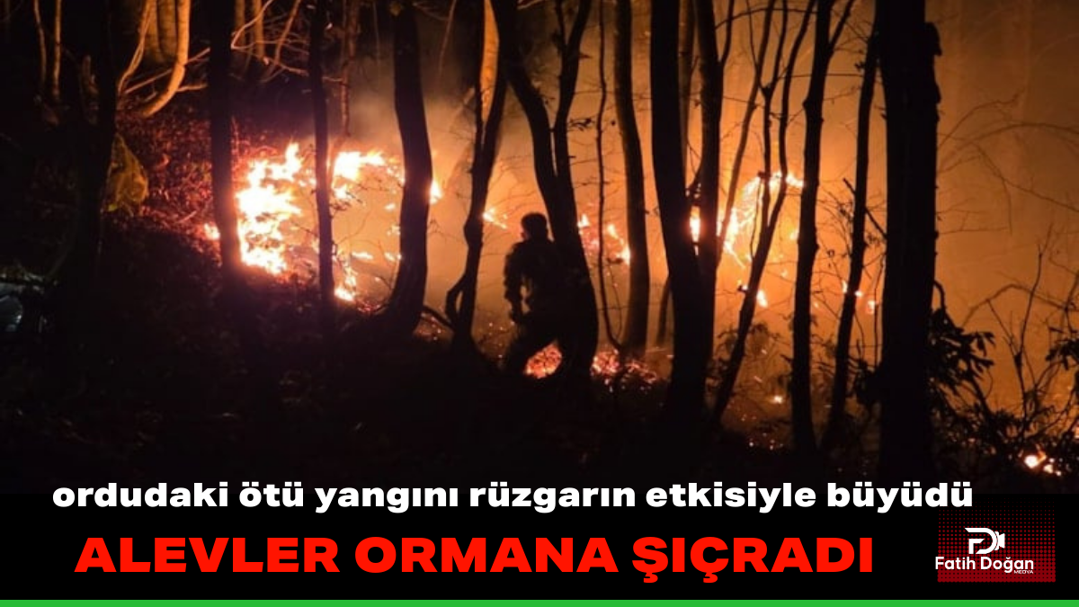 Başlıksız (4)