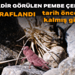 Başlıksız (4)_edit_38394840779035