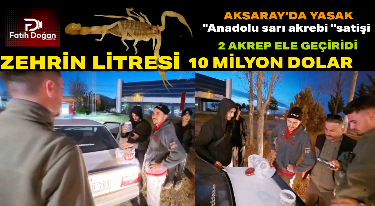 Başlıksız (4)_edit_45912038725285