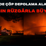 Başlıksız (8)