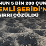 Başlıksız_edit_45556840262317