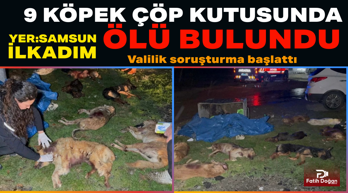 Başlıksız_edit_47125101404787