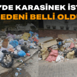 Başlıksız_edit_4843423965405