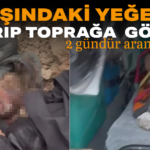 Başlıksız-1 (1)_edit_34071781051570