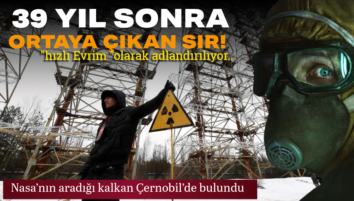 Başlıksız (1)_edit_110279239653484