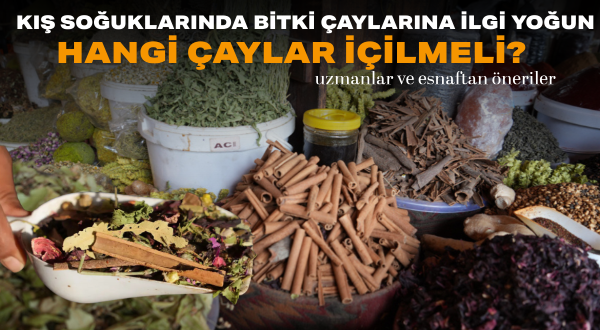 Başlıksız-1_edit_4089160190000