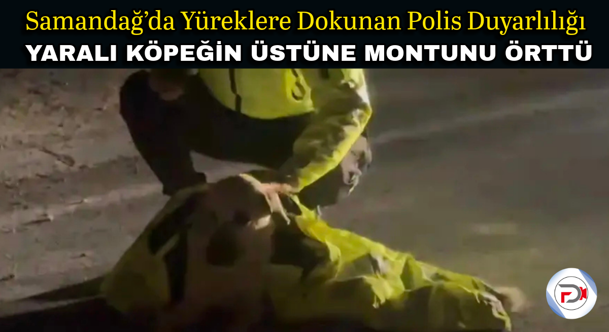Başlıksız (1)_edit_45895299120599