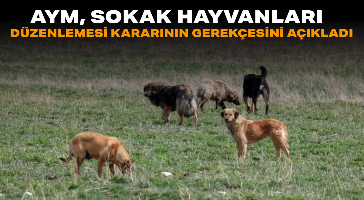 Başlıksız-1_edit_70628753432450
