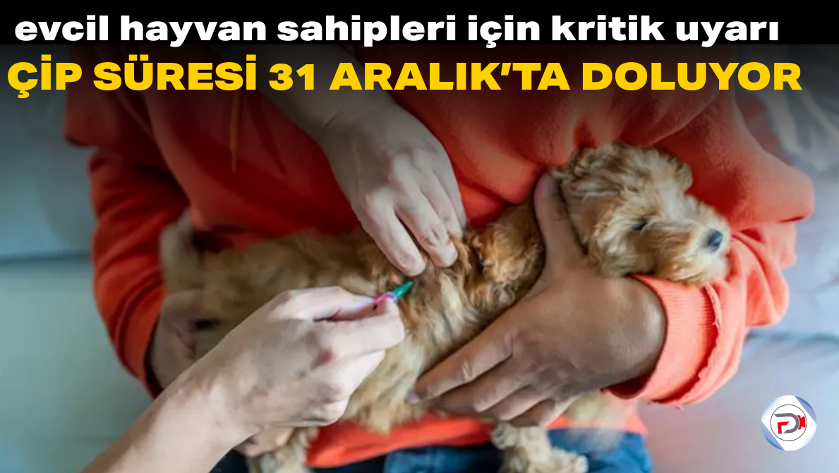 Başlıksız (5)_edit_188035350694222