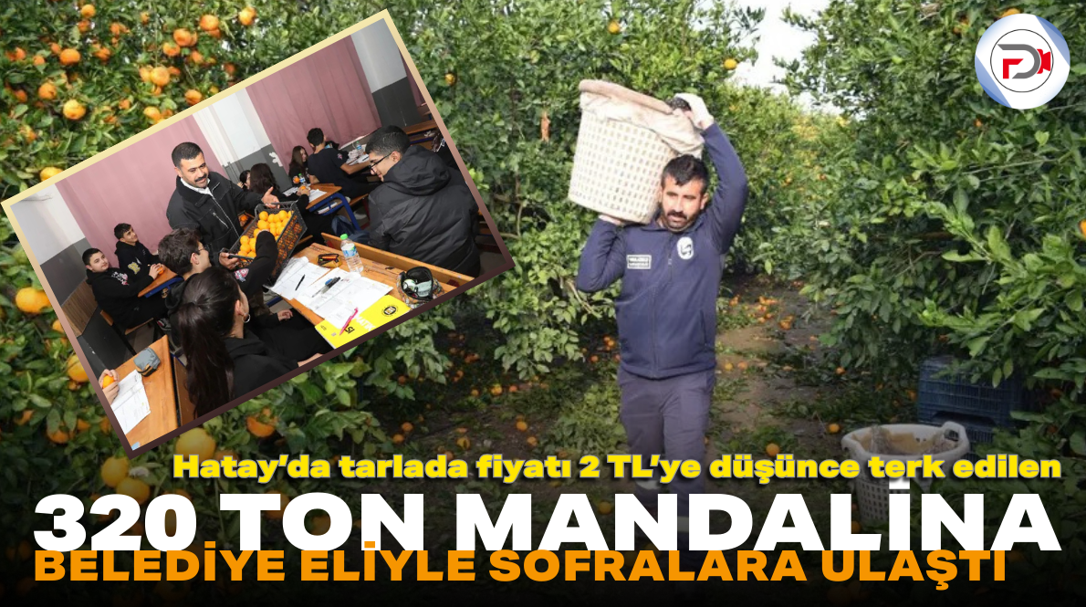 Başlıksız (6)_edit_16879479854714