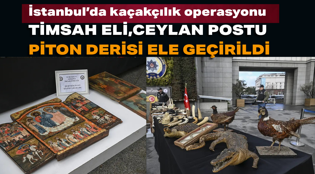 İstanbul’da 6.206 parçalık tarihi eser ve koruma altındaki tür materyalleri ele geçirildi