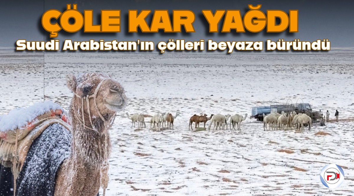 Başlıksız (7)_edit_71300259431827