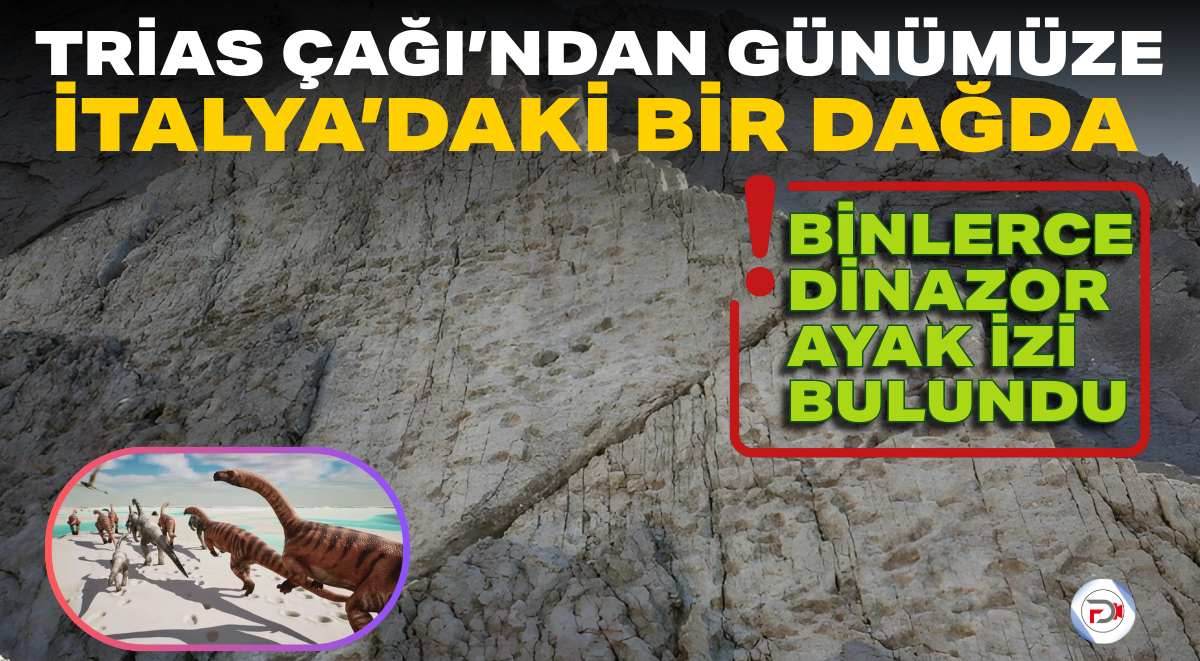 İtalya’daki bir dağda binlerce dinozor ayak izi bulundu.
