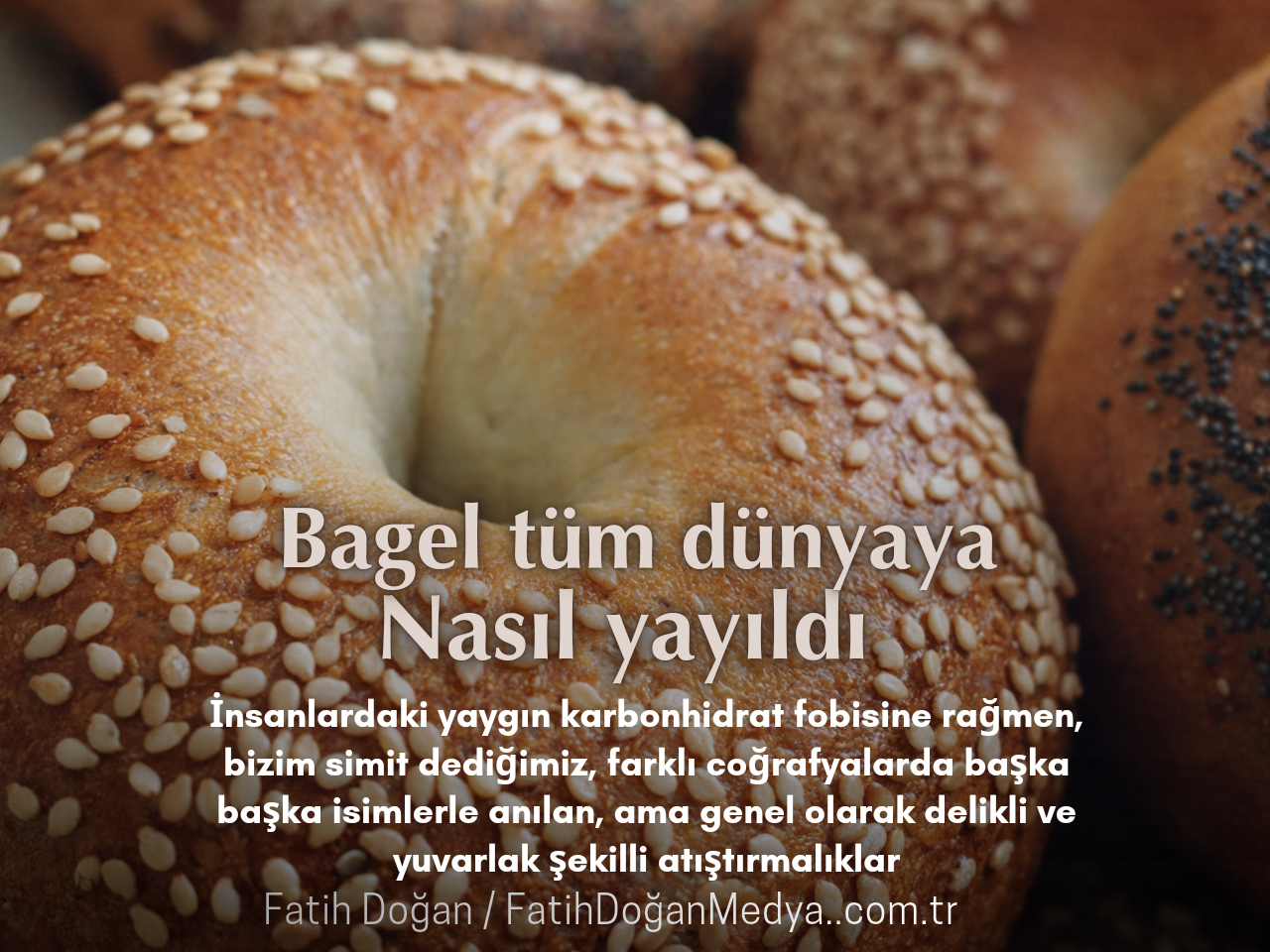 Kedi dışkısı çıktı_20260503_172251_0000