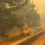 Balıkesir'in Gömeç ilçesindeki orman yangınına müdahale sürüyor