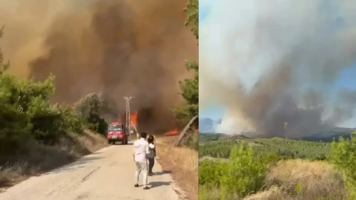 Adana’nın Karaisalı ve Feke İlçelerinde Orman Yangını: Havadan ve Karadan Müdahale Sürüyor