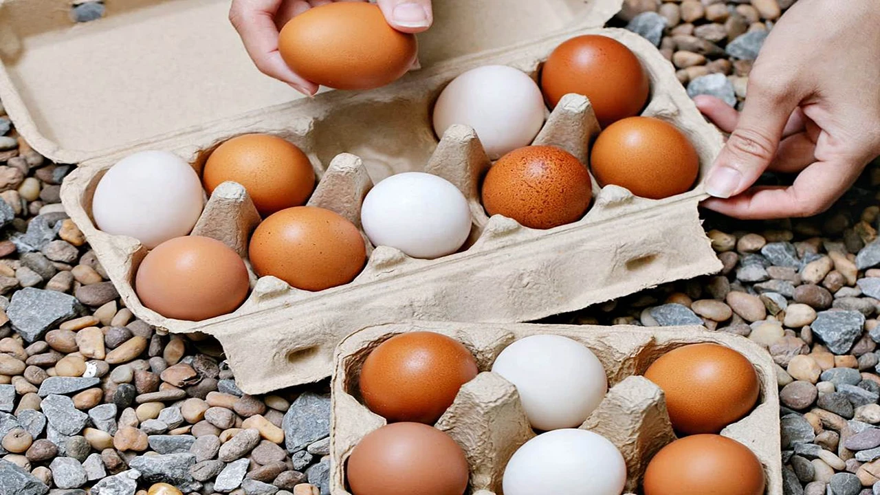 Markette yumurta seçerken yapılan büyük hata: Bu yumurtaları kesinlikle almayın